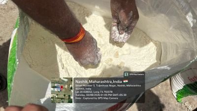 Water Affected stock of Maida